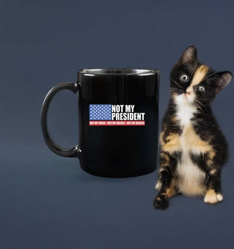 Not my President - Anti Trump Mug