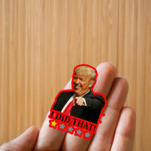 Anti Trump I Did That Sticker ,Car Magnet